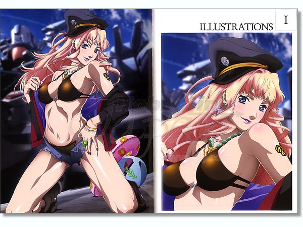マクロスF　シェリル・ノーム原画版画 Amazon.co.jp: マクロスF VISUAL COLLECTION