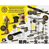 【激レア】GOLD'S GYM ミニチュアフィギュア ゴールドジム ミニチュアコレクション BOX版 1Box 12pcs | HLJ.co.jp