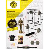 GOLD'S GYM ミニチュアコレクション ゴールドジム　12個入りBOX GOLD'S GYM ミニチュアコレクション ゴールドジム 12個入りBOX
