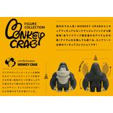 thumb_kel41835_2_1687510210.