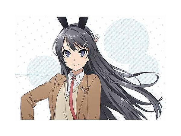 青春ブタ野郎はバニーガール先輩の夢を見ない　桜島麻衣　2way 枕カバー 71o6+g5nuuL._UF350,350_QL50_.jpg