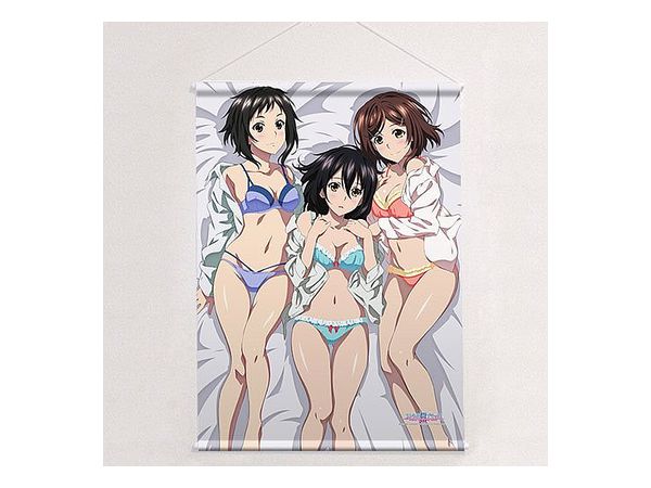 ストライク ザ ブラッド B1タペストリー 雪菜 唯里 志緒 下着 ストライク ザ ブラッド B1タペストリー 雪菜 唯里 志緒 下着