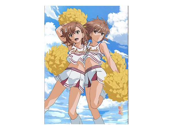 とある科学の超電磁砲T: B2タペストリー (御坂美琴 & 御坂妹) | HLJ.co.jp