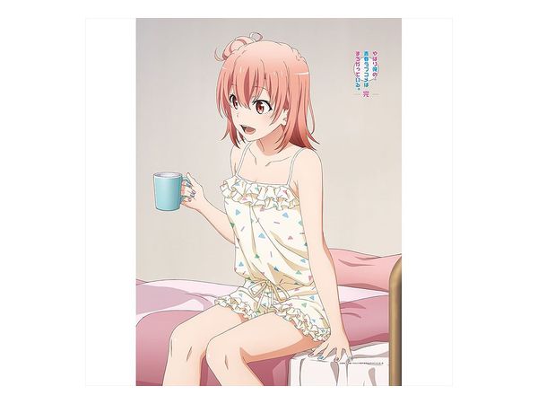 俺ガイル 完 描き下ろし B2タペストリー 由比ヶ浜結衣 一色いろは