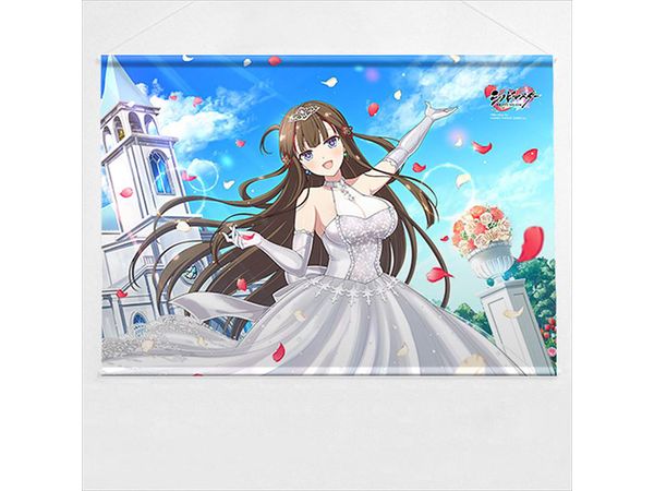 シノビマスター 閃乱カグラ NEW LINK: B2タペストリー (鴇 / 盛 シノビマスター 閃乱カグラ NEW LINK: B2タペストリー (鴇 / 盛