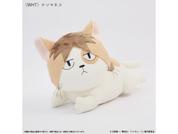 ハイキュー!! ケンマネコ クッション | HLJ.co.jp