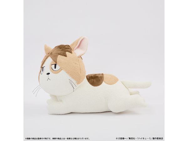 ハイキュー!! ケンマネコ クッション | HLJ.co.jp