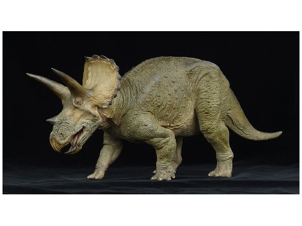 メガソフビアドバンス トリケラトプス | HLJ.co.jp
