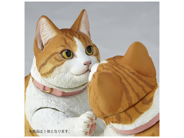 ソフビトイボックス016A ネコ マンチカン | HLJ.co.jp