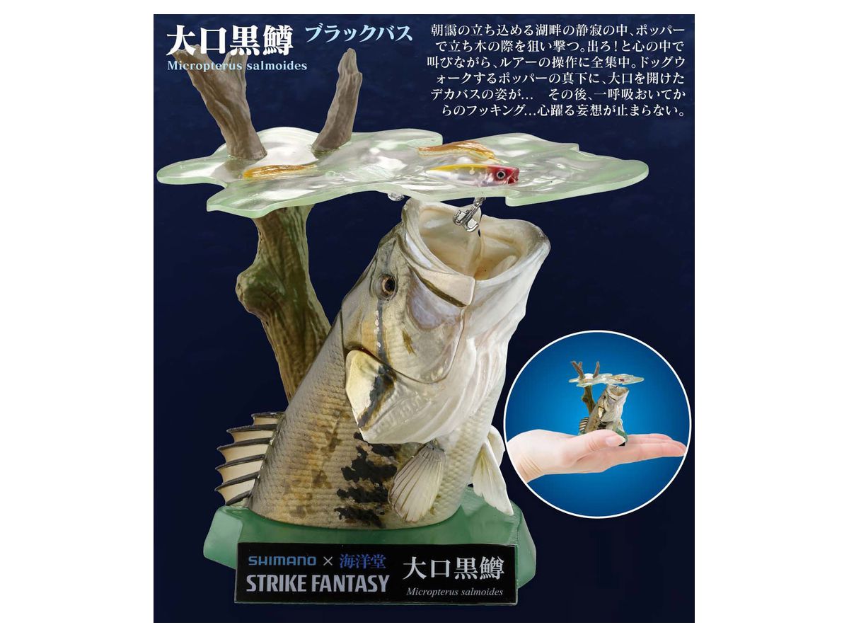 STRIKE FANTASY ブラックバス | HLJ.co.jp
