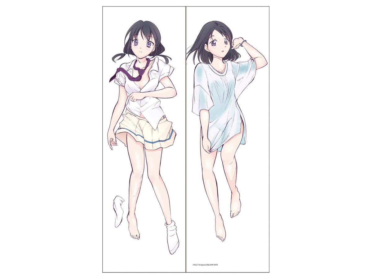 私がモテないのはどう考えてもお前らが悪い! 描き下ろし抱き枕カバー 2