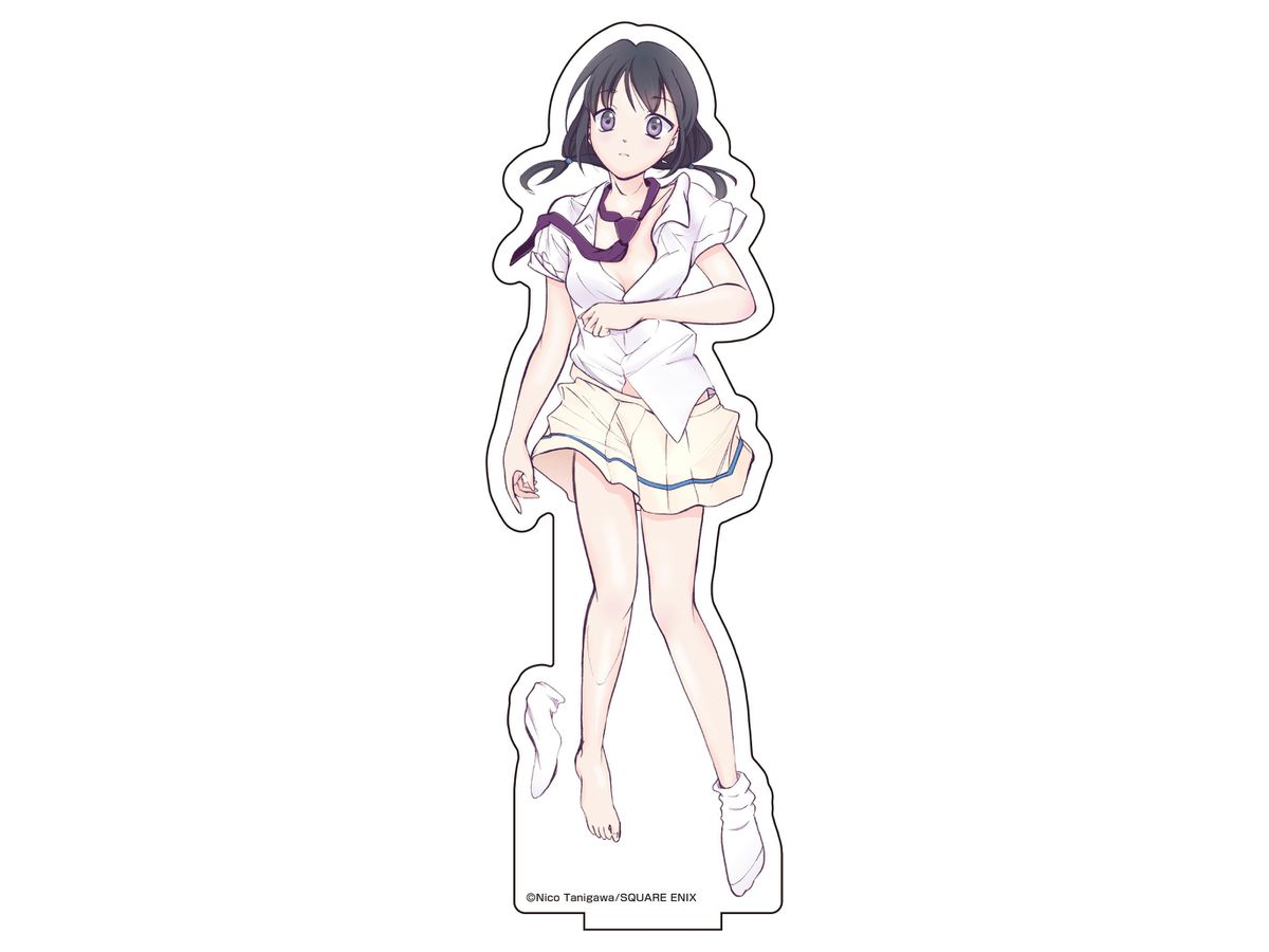 私がモテないのはどう考えてもお前らが悪い! 描き下ろしBIGアクリル 