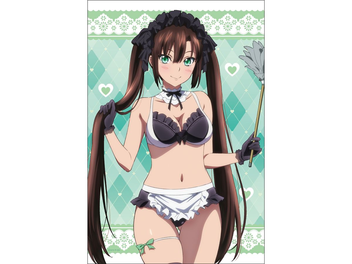 ストライク・ザ・ブラッド FINAL 描き下ろしB2タペストリー 3 煌坂紗矢