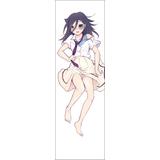 私がモテないのはどう考えてもお前らが悪い! 描き下ろし抱き枕カバー 1