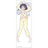 私がモテないのはどう考えてもお前らが悪い! 描き下ろし抱き枕カバー 1