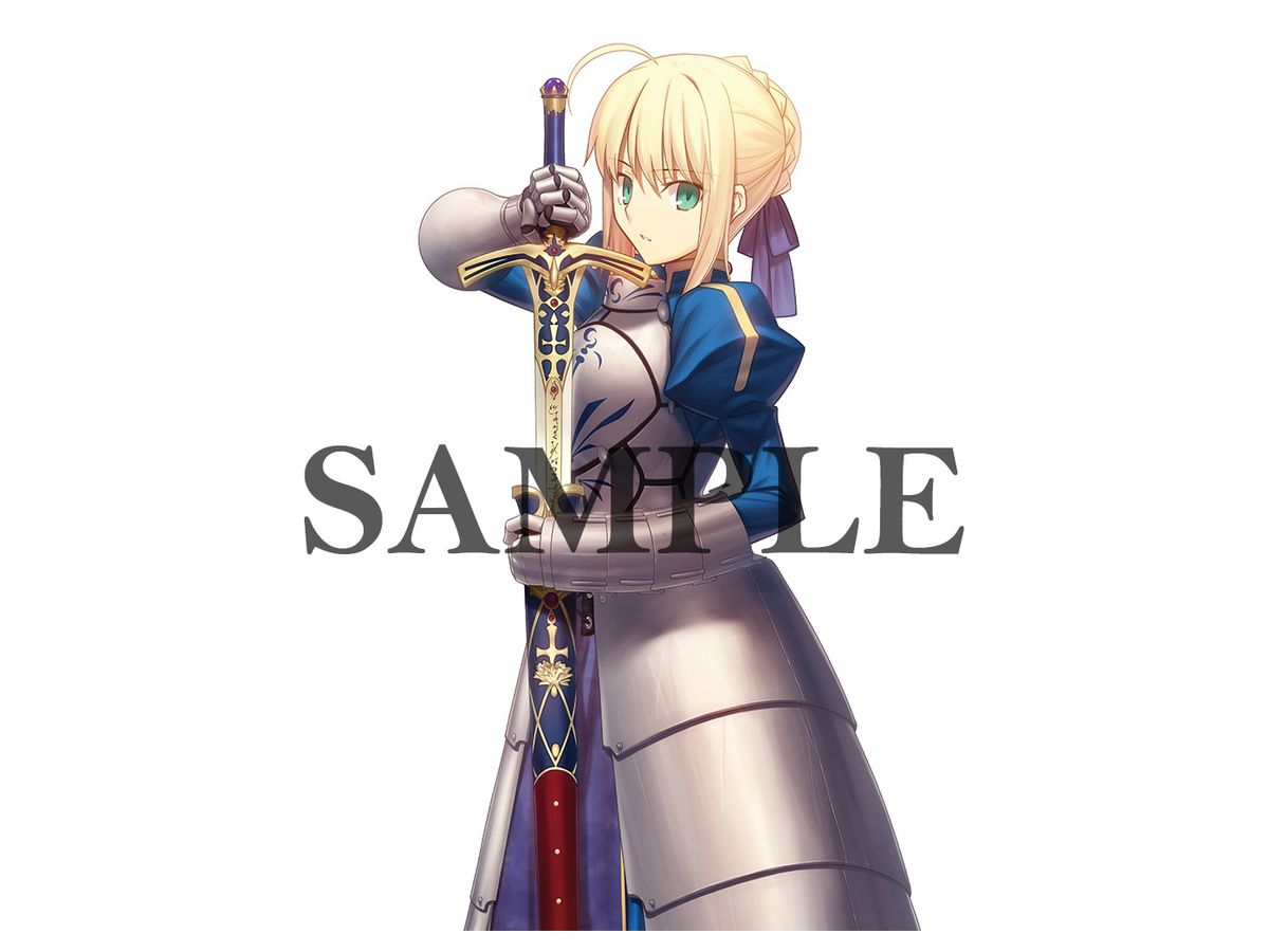Fate/stay night: 武内崇イラスト B2タペストリー (セイバー) | HLJ.co.jp