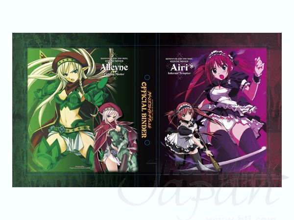 クイーンズブレイド・ザ・デュエル　バインダーとカード56枚セット クイーンズブレイド・ザ・デュエル バインダーとカード56枚セット