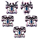 C.F.C. Cyber Formula SIN Ouga AN-21 Complete Box