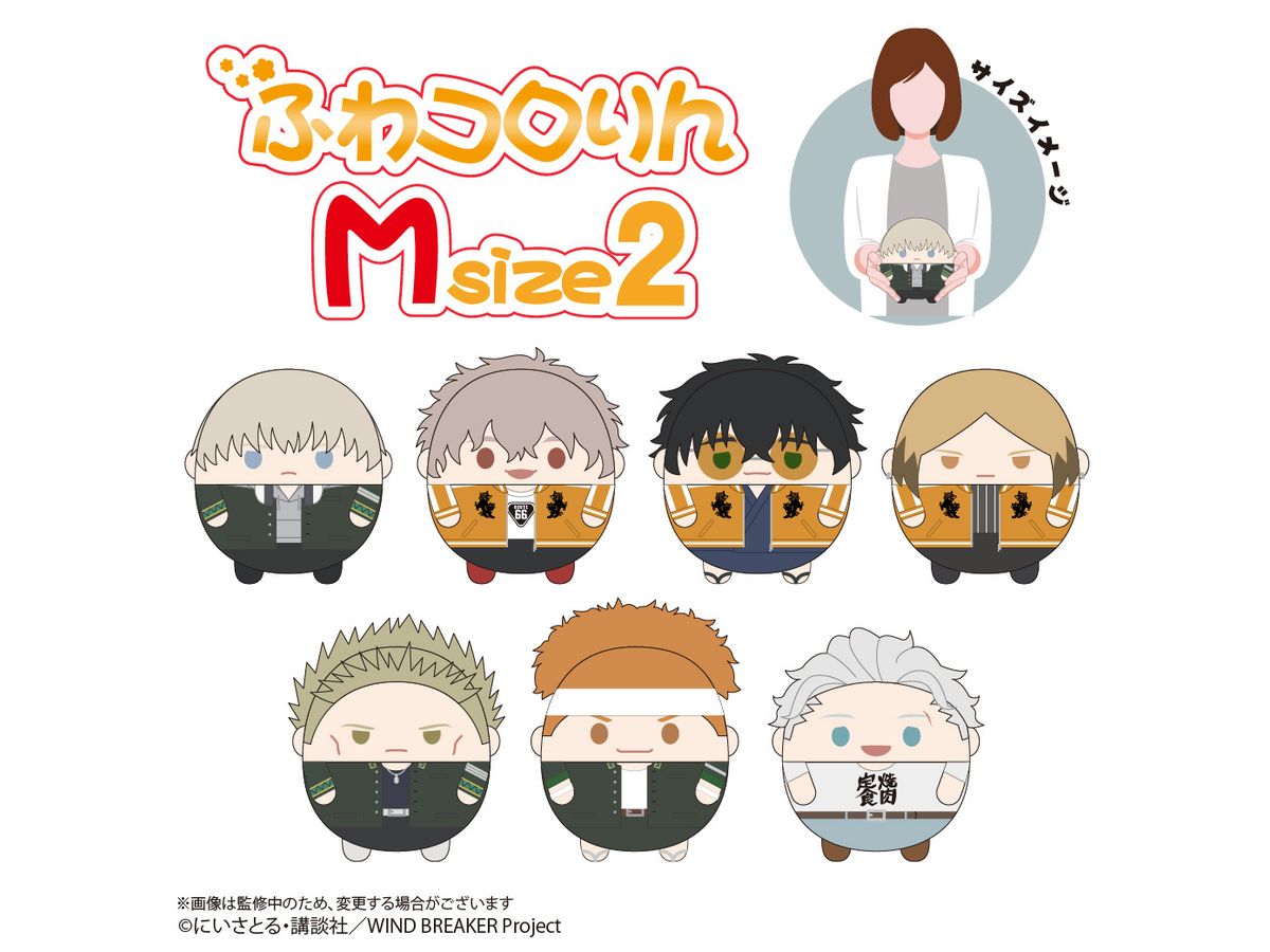 WIND BREAKER: WB-11 WIND BREAKER ふわコロりん Msize2 C : 十亀 条