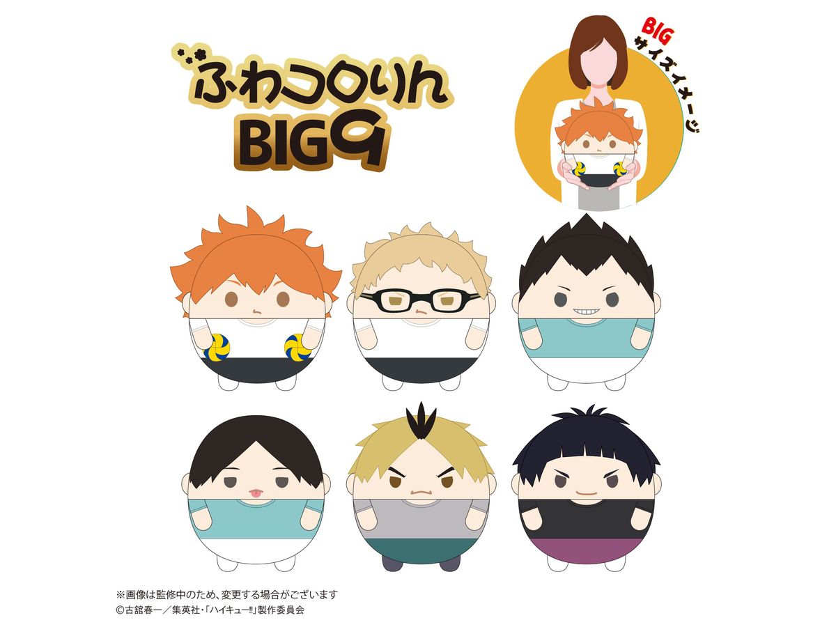 HQ-72 ハイキュー!! ふわコロりん BIG9 F : 五色 工 | HLJ.co.jp