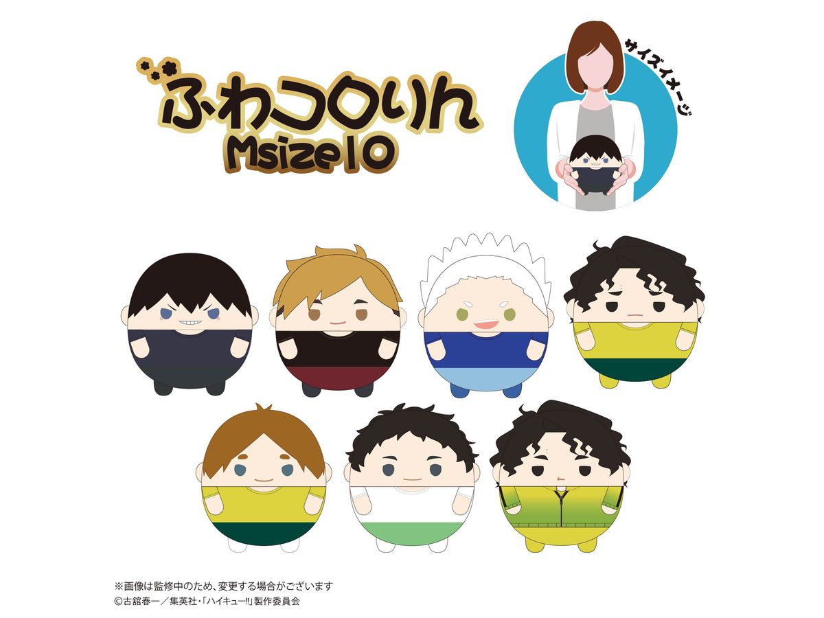 ハイキュー 木葉秋紀 缶バッジ OFD 79点 ハイキュー!! A page of youth