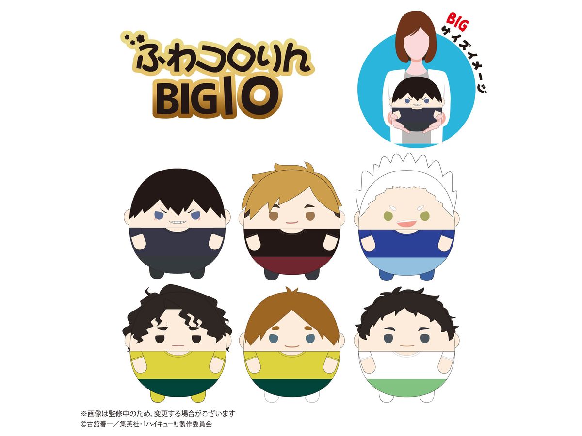 でこりん　　㊻　ハイキュー HQ-80 ハイキュー!! ふわコロりん BIG 10 D:佐久早 聖臣 | HLJ.co.jp