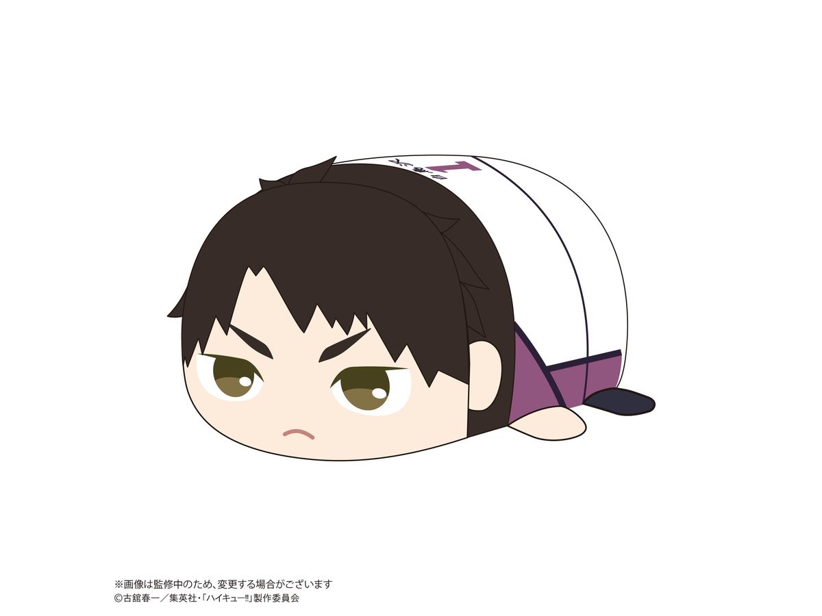 ハイキュー　ねんどろいど　牛島若利 Amazon.co.jp: ねんどろいど ハイキュー!! 牛島若利 ノン
