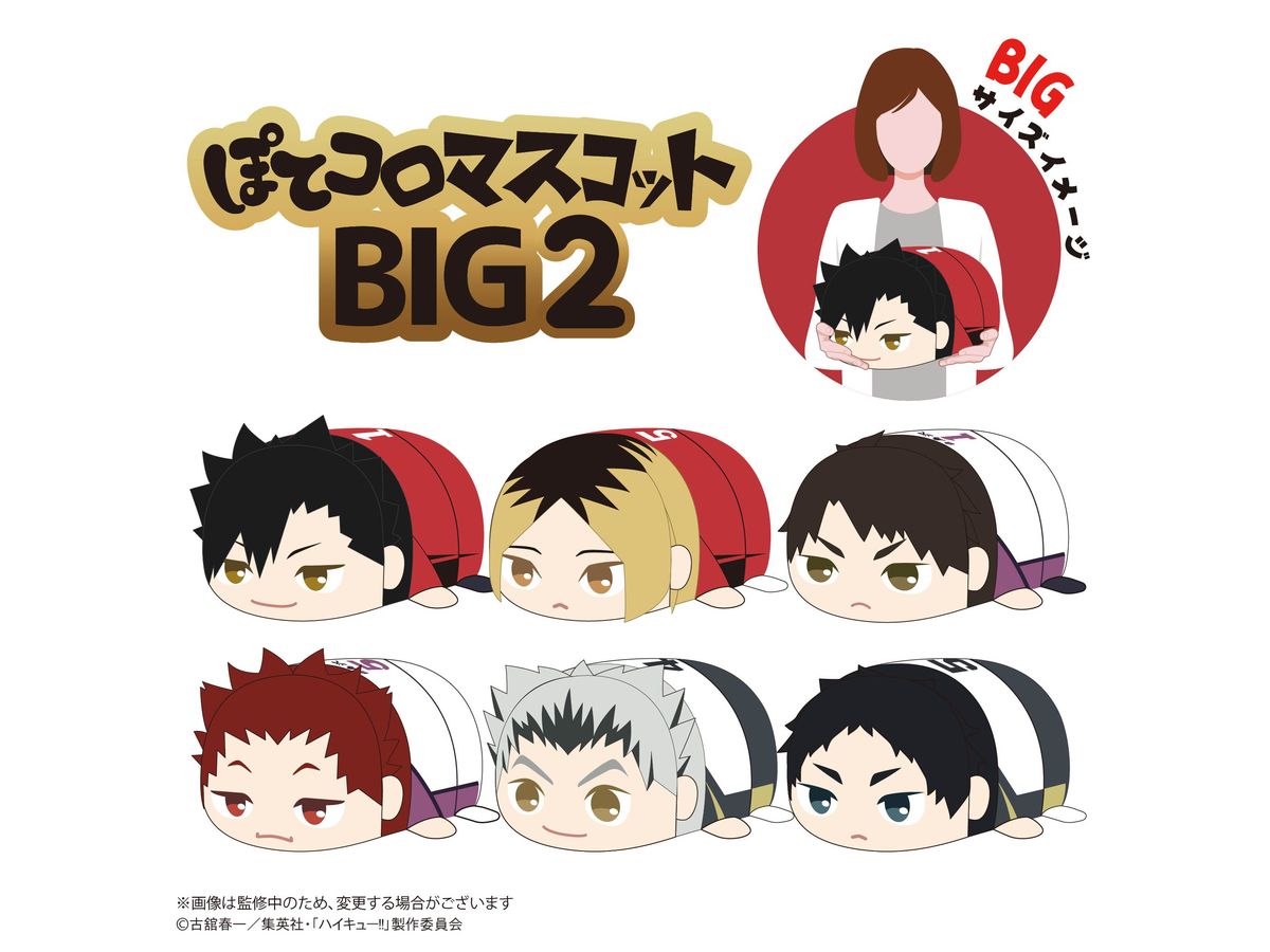 HQ-82 ハイキュー!! ぽてコロマスコット BIG 2 C:牛島 若利 | HLJ.co.jp
