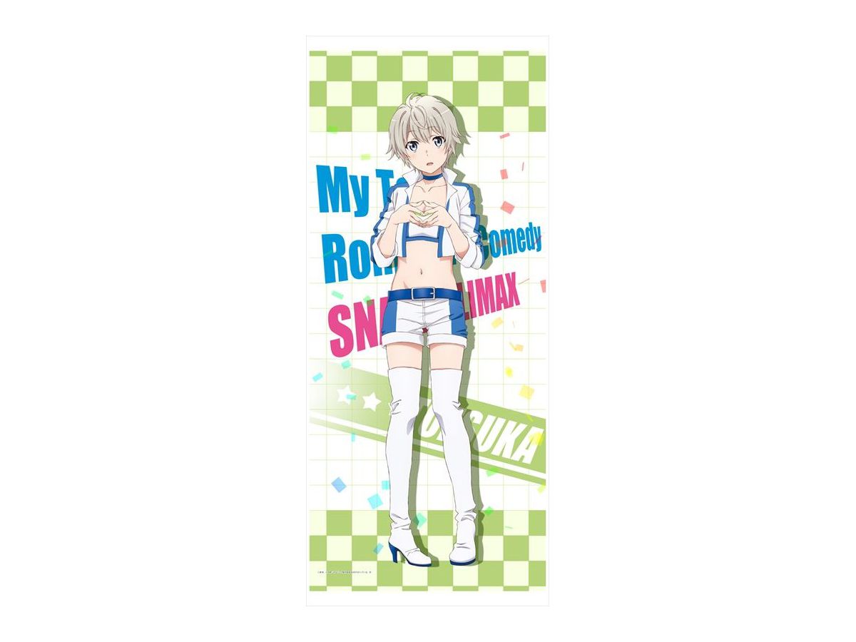 俺ガイル 完 描き下ろし 戸塚 レースクイーン Bigタペストリー 俺ガイル 完 描き下ろし 戸塚 レースクイーン Bigタペストリー