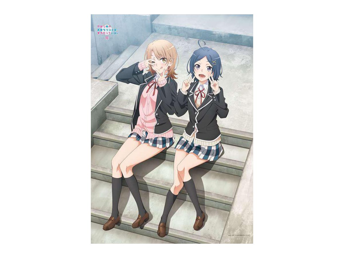 タペストリー　いろは＆小町(階段) 描き下ろしB1タペストリー 「やはり俺の青春ラブコメはまちがっている。完」 俺ガイル 完: 描き下ろしB1タペストリー いろは & 小町(階段