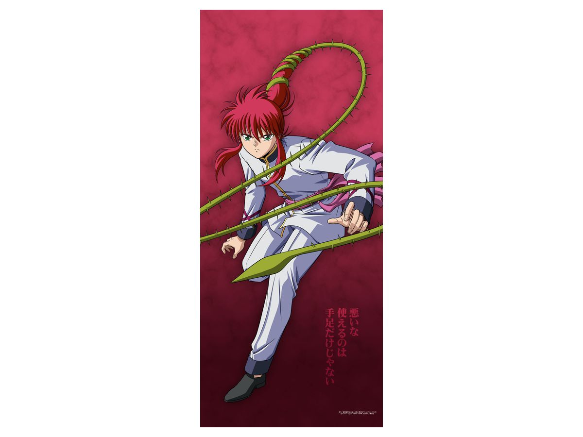 幽遊白書 [描き下ろし] 蔵馬 等身大タペストリー | HLJ.co.jp