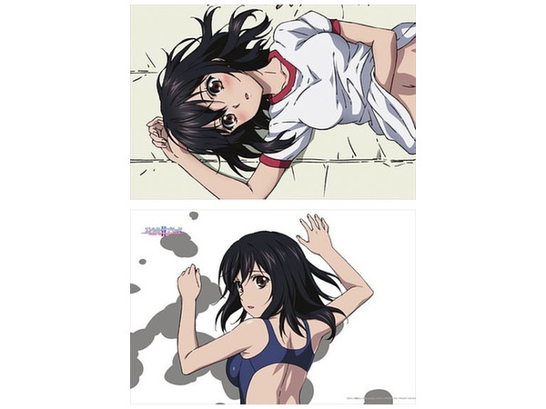 ストライク・ザ・ブラッド (描き下ろし) 雪菜 枕カバー | HLJ.co.jp