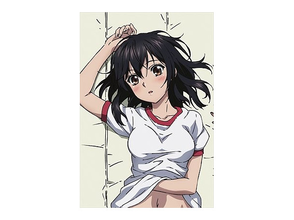 ストライク ザ ブラッド 描き下ろし 雪菜 枕カバー ストライク ザ ブラッド 描き下ろし 雪菜 枕カバー