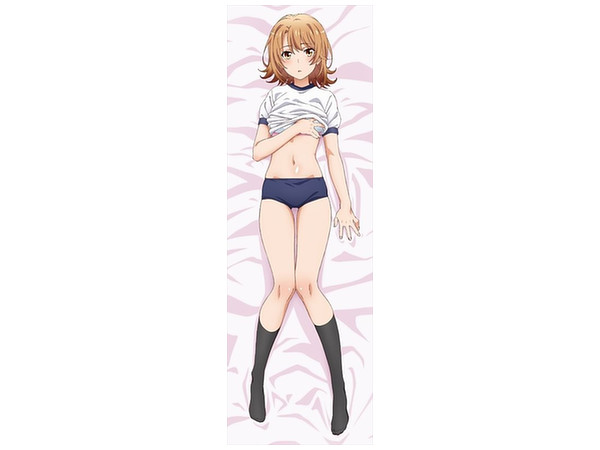 やはり俺の青春ラブコメはまちがっている。続 描き下ろし 抱き枕カバー