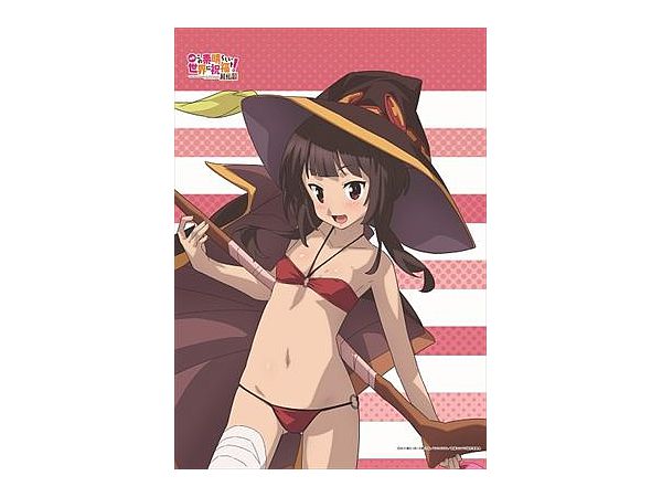 この素晴らしい世界に祝福を! 描き下ろし めぐみん B2タペストリー