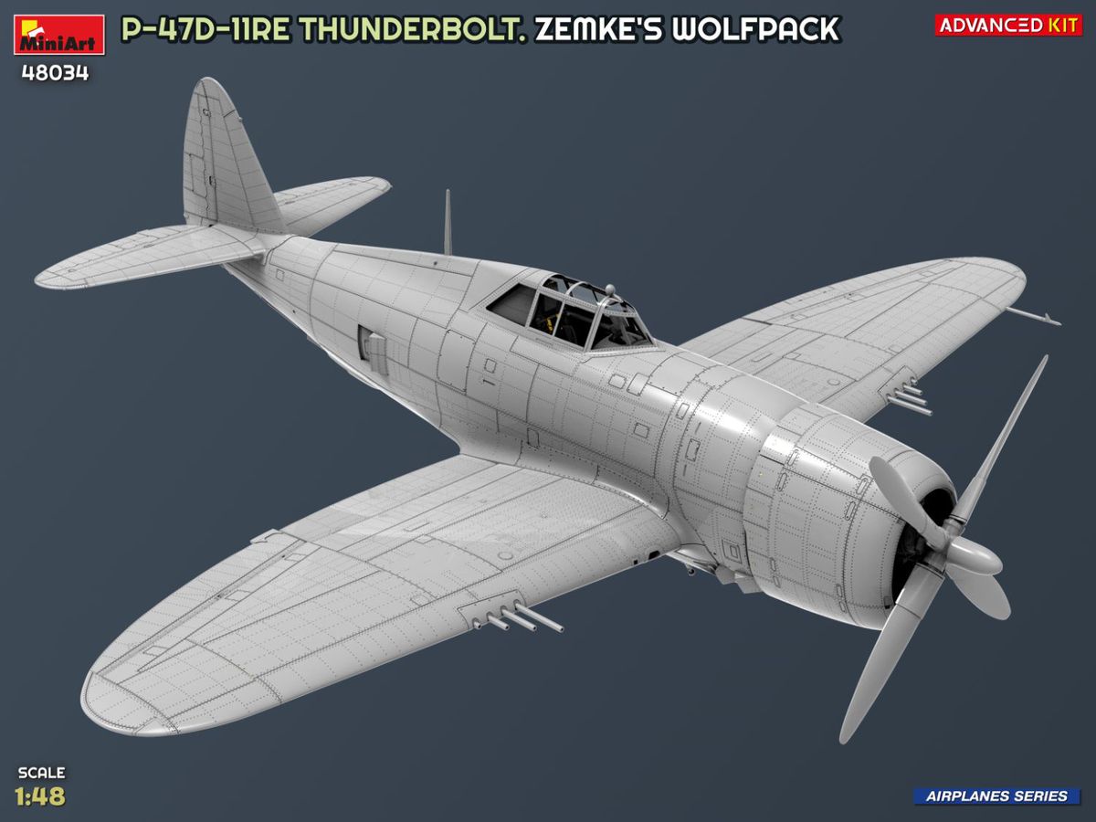 1/48 P-47D-11RE サンダーボルト ゼムケ ウルフパック