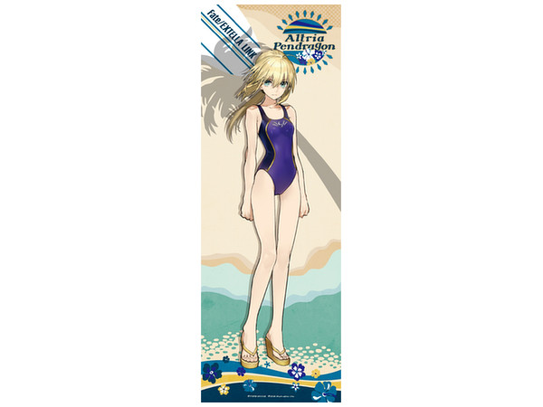 Fate/EXTELLA LINKスティックポスター10個入BOX 全20種 Fate/EXTELLA LINK スティックポスター 10個入り1BOX｜ホビーの
