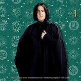 ハリーポッター スネイプ 日めくりカレンダー ハリーポッター 日めくりカレンダー Severus Snape｜ホビーの総合通販