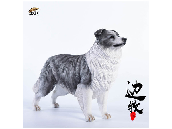 1/6 ボーダー・コリー A | HLJ.co.jp