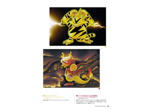 ポケモンカードゲーム アートコレクション By オーバーラップ ホビーリンク ジャパン ポケモンカードゲーム アートコレクション By オーバーラップ ホビーリンク ジャパン