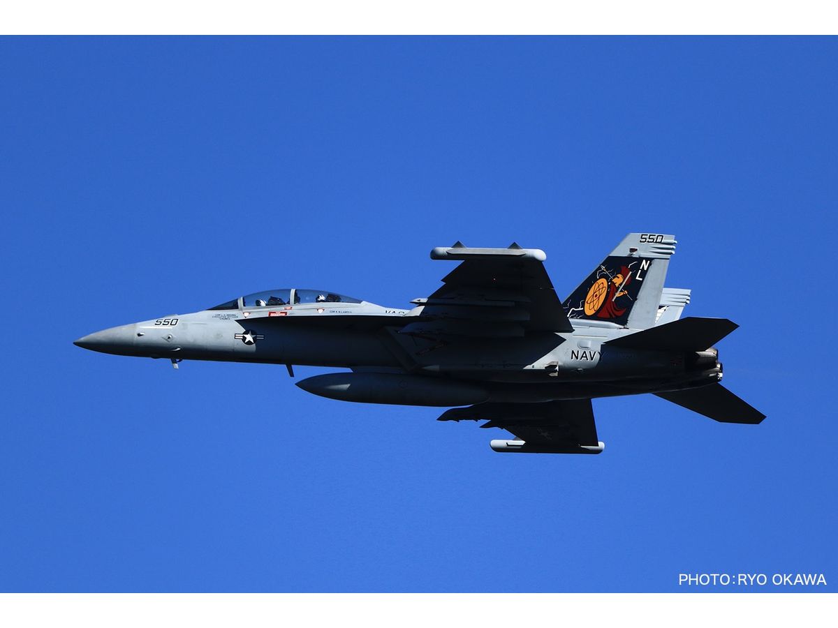 209SQ VAQ-209 電子攻撃飛行隊 EA-18G グラウラー VAQ-209 - Wikipedia