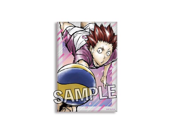 ハイキュー!!: 激闘!!積みアートブロック 天童覚 | HLJ.co.jp