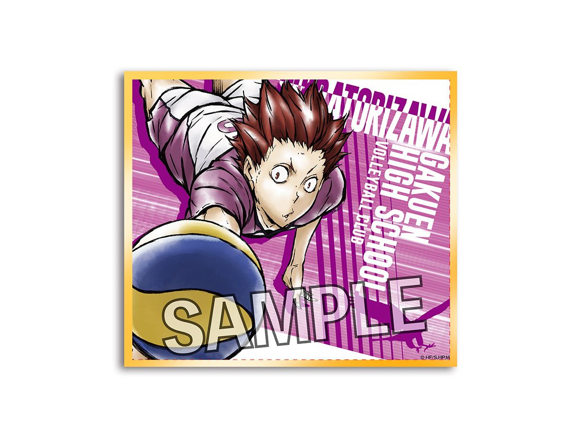 ハイキュー!!: 激闘!!トレーディングホロ色紙 1Box 10pcs | HLJ.co.jp
