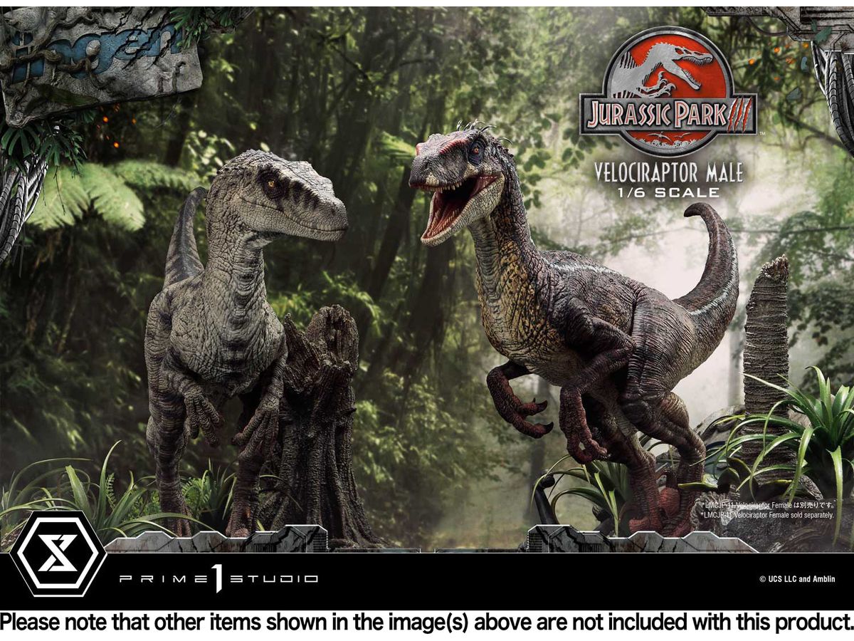 ヴェロキラプトル 骨格 検 サイドショウ ダイナソーリア