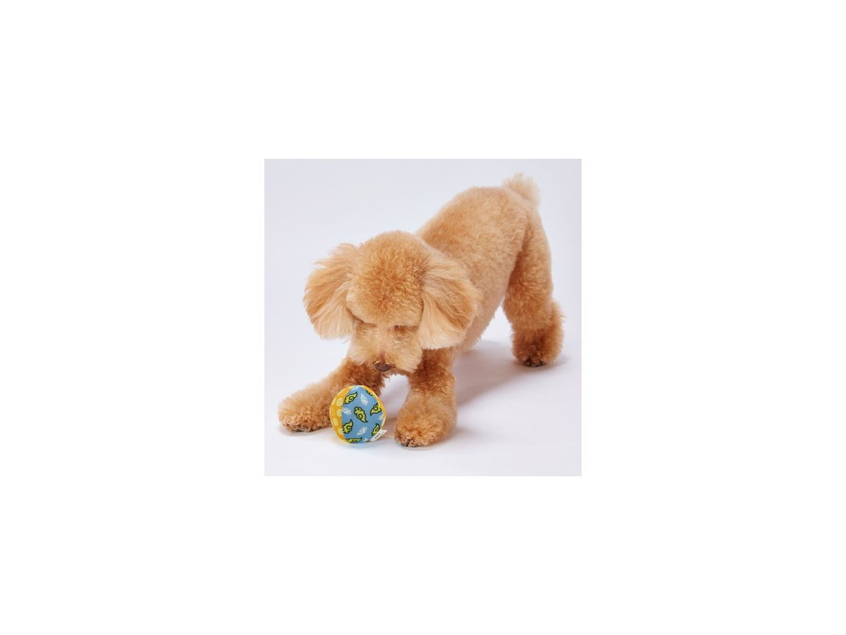ドラゴンボール ペットグッズ 犬用ぬいぐるみボール ランダム1個 By ペティオ ホビーリンク ジャパン ドラゴンボール ペットグッズ 犬用ぬいぐるみボール ランダム1個 By ペティオ ホビーリンク ジャパン