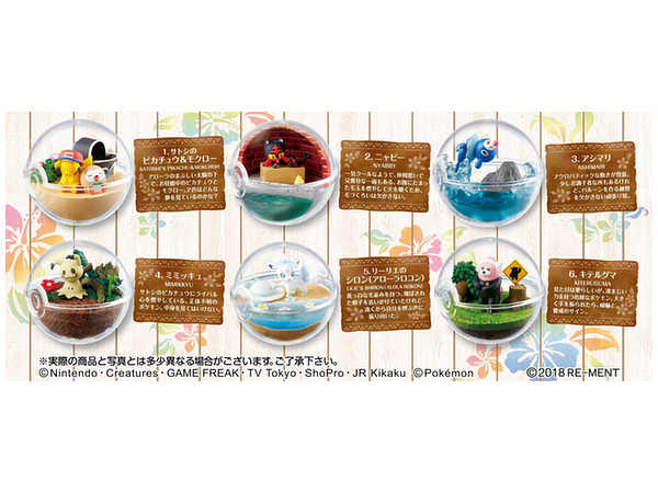 ポケットモンスター サン ムーン テラリウムコレクションex アローラ地方編 1 Box 6pcs By リーメント ホビーリンク ジャパン ポケットモンスター サン ムーン テラリウムコレクションex アローラ地方編 1 Box 6pcs By リーメント ホビーリンク ジャパン