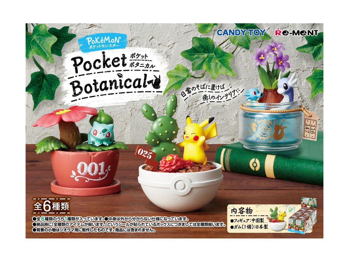 ポケモン Pocket Botanical 1 Box 6pcs By リーメント ホビーリンク ジャパン ポケモン Pocket Botanical 1 Box 6pcs By リーメント ホビーリンク ジャパン