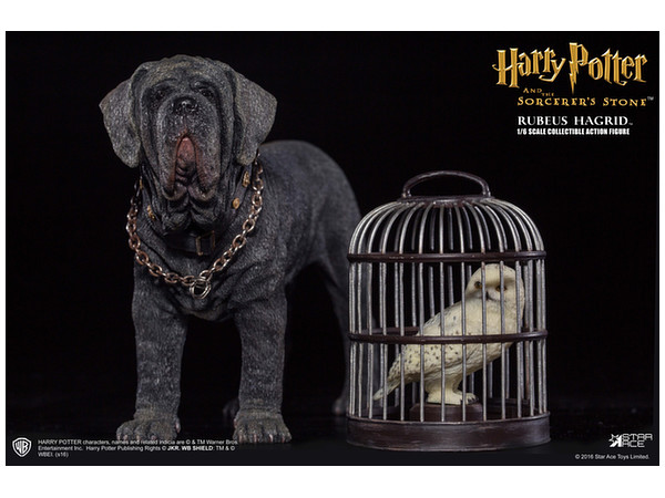 Jpsaepict7swt 25 ハリーポッター ハグリッド 犬 ハリーポッター ハグリッド 犬 名前 Jpsaepict7swt 25 ハリーポッター ハグリッド 犬 ハリーポッター ハグリッド 犬 名前