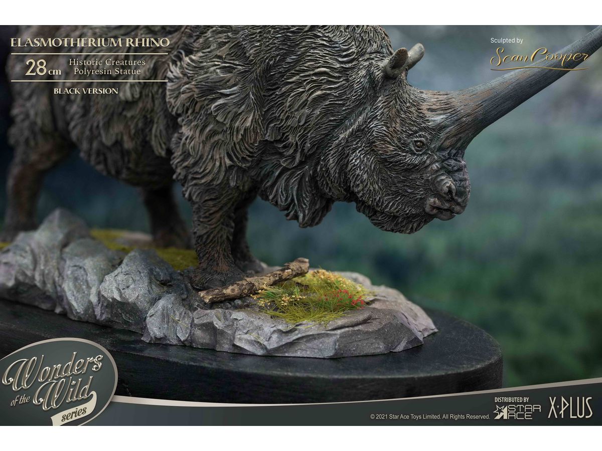 ワンダーズ オブ ザ ワイルド / エラスモテリウム / スターエーストイズ