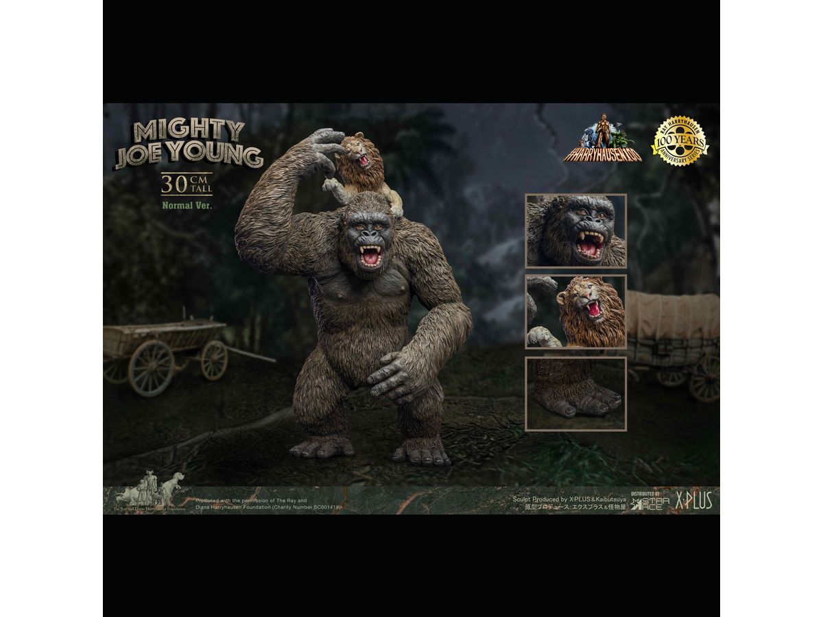 ジョー・ヤング | HLJ.co.jp